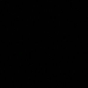 Meet your Posher, Malia